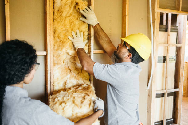 Best Commercial Insulation Contractor  in Long Lake, IL