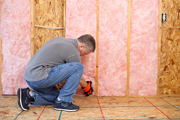 Best Best Insulation Companies  in Long Lake, IL