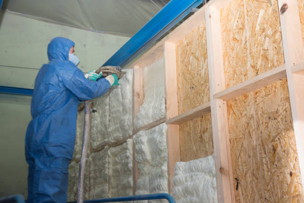 Best Attic Insulation Installation  in Long Lake, IL