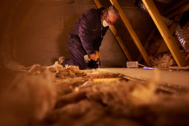 Best Fiberglass Insulation  in Long Lake, IL